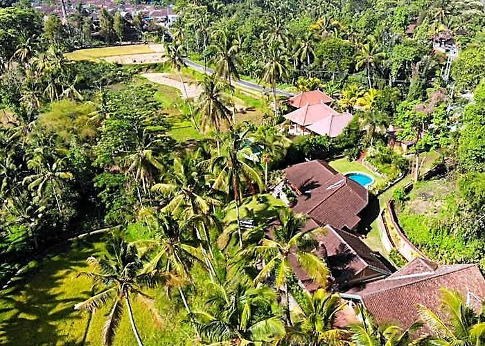 Villa The Papas *