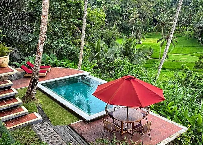 The Papas * Tegallalang (Bali)