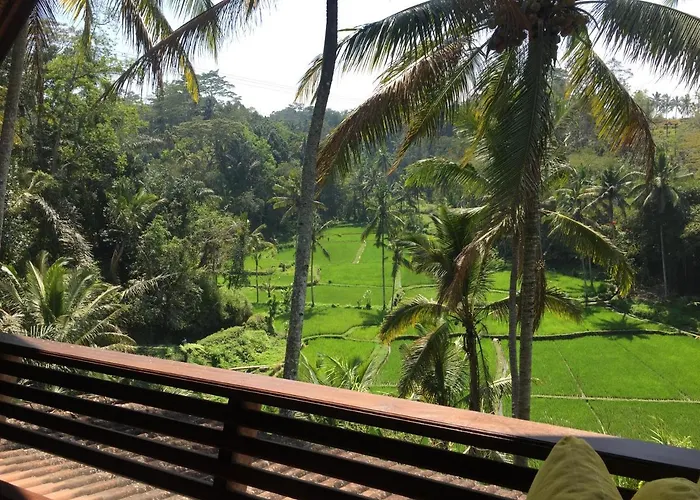 The Papas Villa