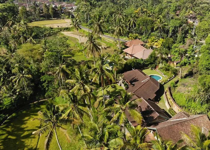 Villa The Papas
